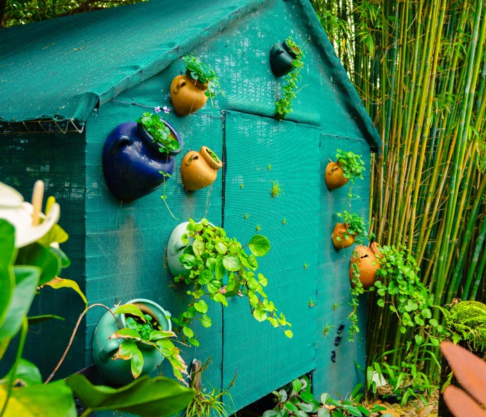 bongaree village grow plant nursery garden centre